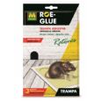 KIT TRAMPA I MATARATES RATS 2x20G NOVAR